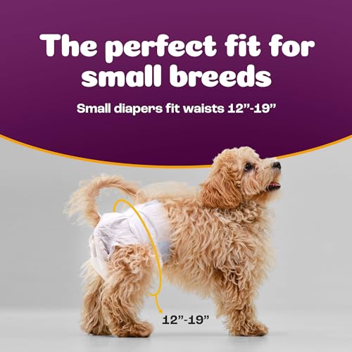 Image of Inspire Pet Care Dog Diapers Female Dogs | Bulk Value Doggie Incontinence, Accidents, for Heat, Pee or Period and Housebreaking (Small (50 Count))