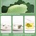 Plant Gift Lotus Leaf Tea Bag 5 Imagen de Plant Gift Lotus Leaf Tea Bag 5