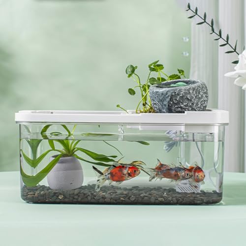 Aquarium miniature pour bureau avec pompe et lumière intégrées