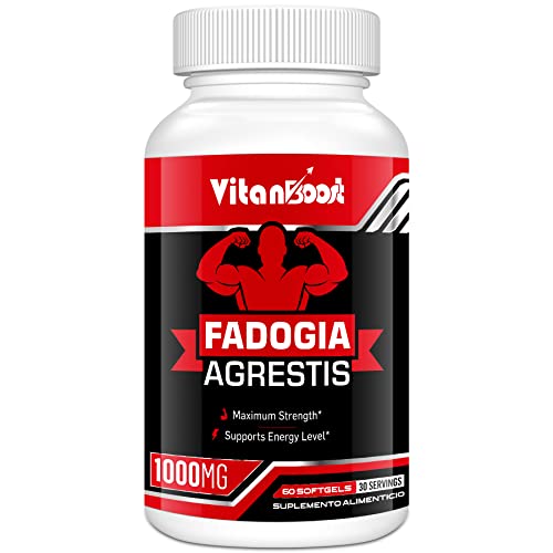 Fadogia Agrestis 1000mg with Ashwagandha & ZINC- Maximum Strength Fadogia Agrestis Extract Supplements - Drive & Athletic Performance - Gluten Free Non-GMO (60 Count (Pack of 1))