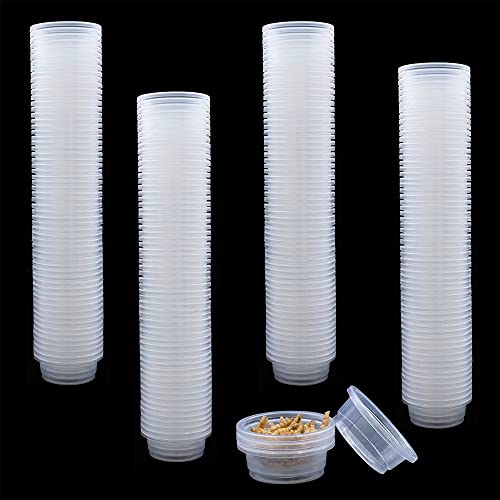 Mrtioo 100 Pcs 0.5Oz Crested Gecko Food And Water Feeding Cups, Reptile Feeder Bowls, For Lizard And Other Small Pet Ledge Accessories Supplies #TOP6