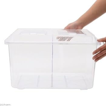 Amazon | プラケース 飼育容器 特大 クリア 仕切り付き 仕切り