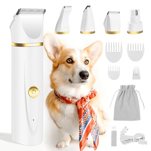 How to Restrain a Dog While Grooming: Safe Methods