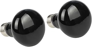 Ipetboom 2 Peças Lâmpada De Calor Para Répteis Galinheiro Lâmpada Tartaruga Terrário Aquecimento Uvb Lâmpadas De Aquecimento Dragão Barbudo Acessórios Suprimentos De Aquecimento Para