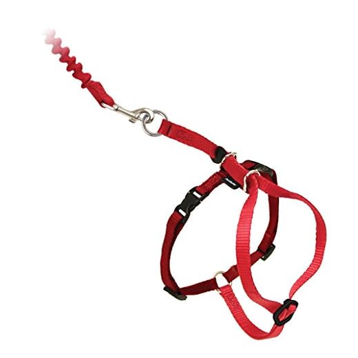 Samen Op Stap: 15 Kittentuigjes voor Onvergetelijke Avonturen 5 PetSafe Come with Me Kitty tuigje en riem elastisch