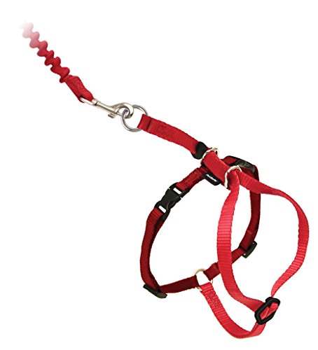PetSafe Come with Me Kitty Harness and Bungee Leash, Harness for Cats, Large, Red/Cranberry by PetSafe - Used condition - CA$12.16