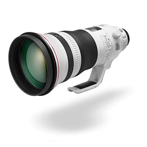 Canon EFレンズ EF400mm F2.8L IS USM 超望遠 キヤノン Canon EFレンズ EF400mm F2.8L IS USM 単焦点レンズ 超