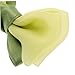 2Pcs Green Hair Bow Clips for Durable Headband Bows Easy to Use Accessories for Newborns for All Ages