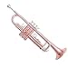 Student Brass Trumpet Brass B Flat Trumpet Instrument With Surface Fully Phosphorus For Students Beginners And Adults
