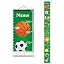 Sports Balls