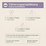 AniForte Rivalität Globuli für Hunde, Katzen, Haustiere - Bachblüten zur Beruhigung, Natürliches Mittel bei Rivalität gegenüber Artgenossen und Menschen