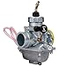 LIYYOO YFS200 Carburetor Kit Compatible With Yamaha 200 YFS200 1988-2006