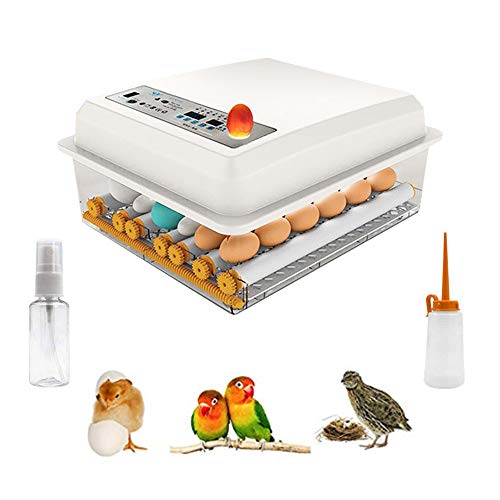 InLoveArts Digitale ei-incubator 16 eieren Automatische Hatcher voor thuisgebruik Temperatuurregeling en automatisch… - Afbeelding 8