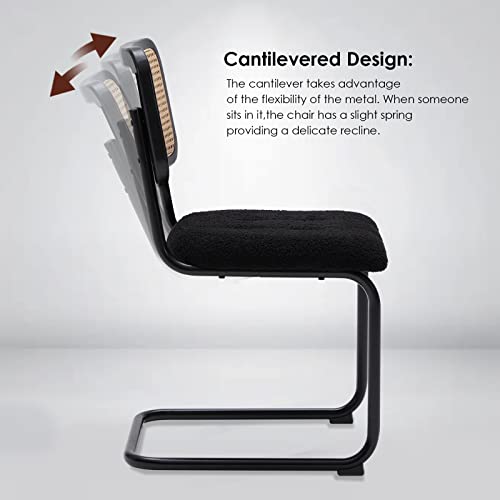 Farini Kitchen Dining Chairs Set Of 2,Mid-Century Modern Chair Armless Mesh Backrest Cane Rattan Chairs For Home Dining Room(Black,Teddy-Velvet) #TOP4