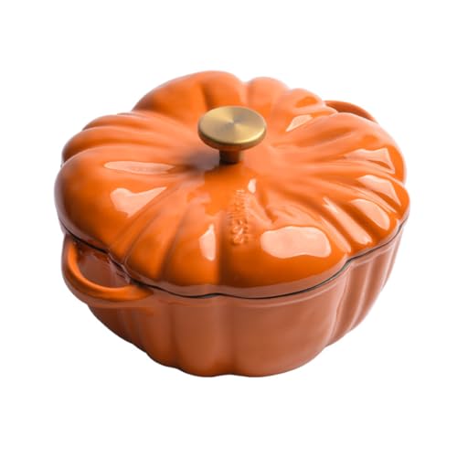 Casserole Cast Iron Pot with Lid,non Stick Pot Oven Pans,enamelled Cooking Pot,kitchen Cookware for Slow Cooking Chicken Open Fire Stovetop Camping（25cm ）(16CM/A)