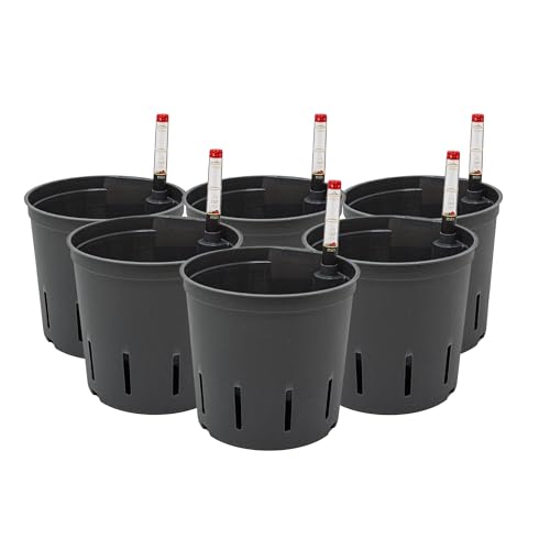 Leni Kulturtopf für Hydrokultur-Systeme Set mit Wasserstandsanzeiger | Größen zur Wahl 5-32 cm rund | Langlebiger Kunststoff (6er-Pack, Ø: 13cm | H: 12cm)