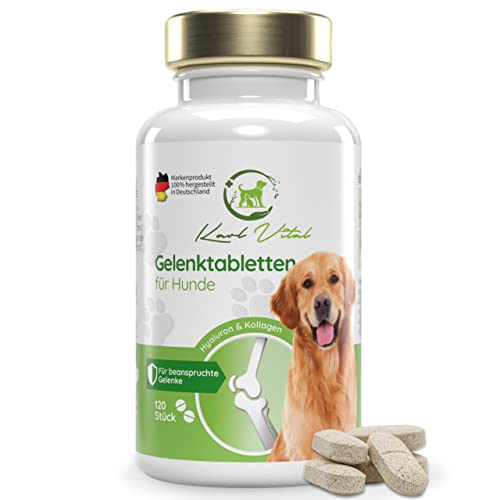 Karl Vital Gelenktabletten für Hunde 120 Stück I Futterergänzungsmittel Hund mit Grünlippmuschel, MSM, Teufelskralle, Glucosamin I Keine Kapseln I Deutsche Herstellung & Qualitätskontrolle