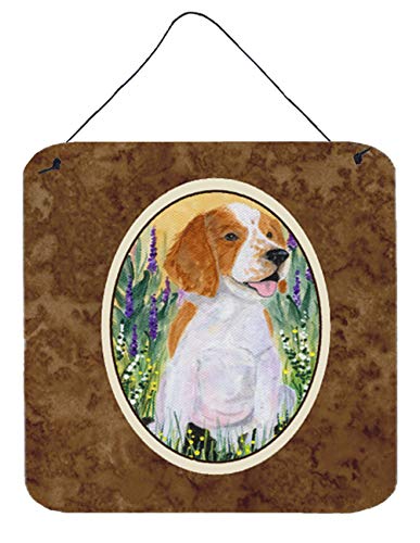Caroline's Treasures SS8219DS66 Welsh Springer Spaniel Wall or Door Hanging Prints Aluminum Metal Sign Kitchen Wall Bar Bathroom Plaque Home Decor, 6x6, Multicolor