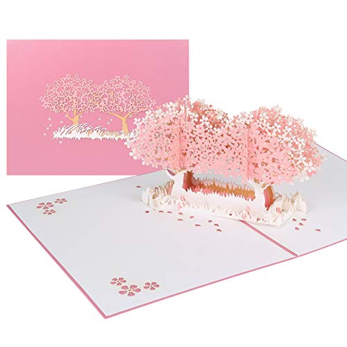 3D |bvAbv J[h  sN  aj o^Cf[ LO ҏ O[eBOJ[h(Pink A)