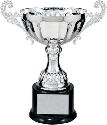 Griffco Supply Real Metal Cup Trophy in Gold or Silver Trophy Award, Engraved Corporate Trophy Cup Award - Available in 4 Sizes Free Engraved Plate Included (Gold, Small 6.5\")