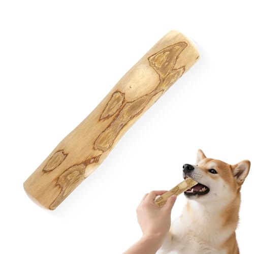 Wonsam R[q[Ebh p  ؐނ Y 100%i` R[q[̖ f^PA XgX ؂̖_ VR ^/^/^p L/F