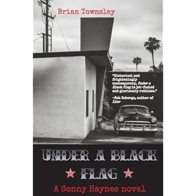 Under a Black Flag: A Sonny Haynes Novel
