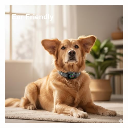 Vibrationshalsband für Hunde – Dual-Mikrofon KI-Filter – Indoor/Outdoor Training