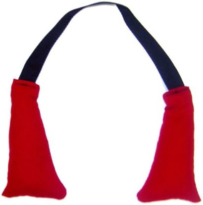 Revgear Glove Dog Deodorizer