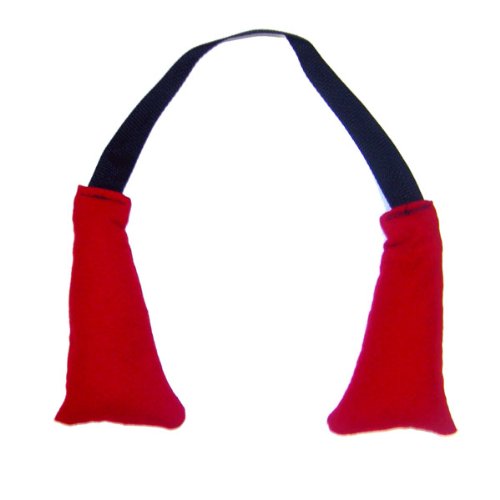 Revgear Glove Dog Deodorizer