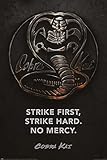 Cobra Kai - TV Show Poster (Cobra Emblem - Strike First, Strike Hard. NO MERCY) (Size: 24' x 36')