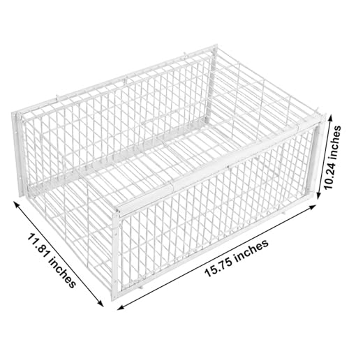 Cage à pigeons robuste en acier galvanisé pour toits et granges - 8