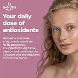 Bandini® Berberine 1000mg Pure high Dosage | 180 Vegan Capsules - Pure Berberin HCL from Berberis Aristata 97% + Chromium and Black Pepper | Maximum Absorption - Digestive, Liver, Intestinal Function - Image 3