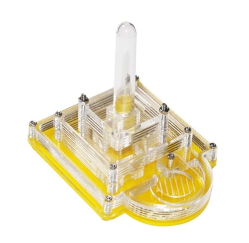 EYRMQWJPC Ameisenfarm Acryl Nest mit Wasserturm