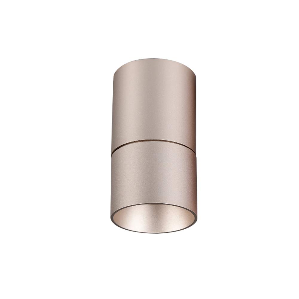 Foco de pared LED orientable dorado para iluminar cuadros en salones y zonas de lectura