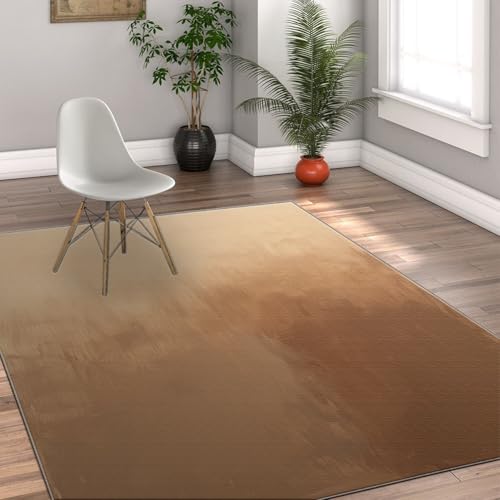 Tapis de salon lavable 60x90 avec dossier antidérapant
