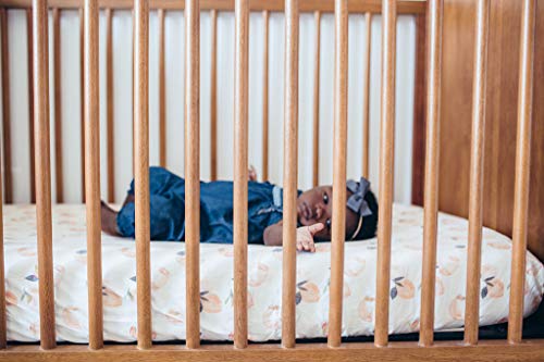 Premium Fitted Knit Crib Sheet/Toddler Sheet Caroline By Copper Pearl #TOP5