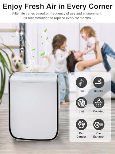 Ecofort 2000 Replacement Filter Compatible with Air Doctor 2000 / 2000i Air Purifier – Includes 1 High-Efficiency Filter, 2 Carbon Filters, and 4 Pre-Filters – Compare to ADF2001, ADF2002, ADF2003 - Image 5