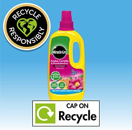 Miracle-Gro 119651 Azalea, Camellia & Rhododendron Concentrated Liquid Plant Food 1 Litre