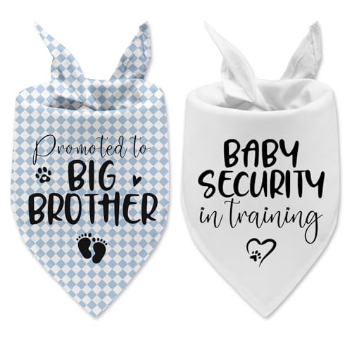 2 Packs Big Brother Dog Bandana