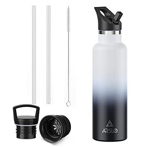 Arslo Stainless Steel Water Bottles Insulated, Double Wall Sport Bottle With Lid And Straw, Sweat-proof BPA Free to Keep Cold 24 Hours, Hot 12 Hours, Double Walled, Thermo Mug