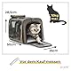 PiuPet® Katzentransportbox I Ideal für Katzen I Stabile Transporttasche mit großem Blickfeld I Transportbox Katze Groß - Stilvolle Katzenbox mit herausnehmbarer Fleecematte