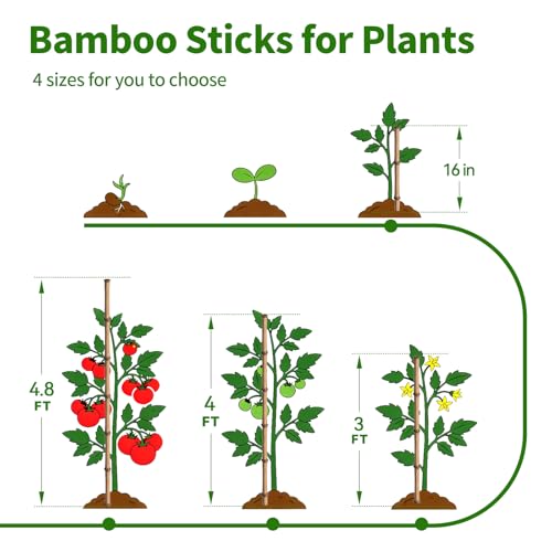 36 Pcs Natural Bamboo Plant Stakes - 30% Off Garden Support