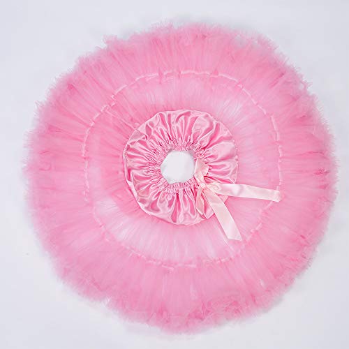 Image of Tutu Skirt as Well as Petticoat above Knee Underskirt Tulle Crinoline slip
