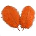 Sowder 5pcs Ostrich Feathers 16-18inch(40-45cm) for Home Wedding Decoration(orange)