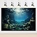 Riivvdise Aquarium Backdrop Underwater Coral Reef with Fishes Sun Rays Terrarium Background Under Water Rocks with Moss Fish Tank Backdrop Aquarium Wallpaper Poster Decor Vinyl 72x18in