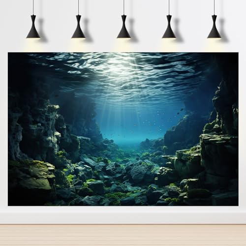 Image of Aquarium Backdrop Underwater Coral Reef with Fishes Sun Rays Terrarium Background Under Water Rocks with Moss Fish Tank Backdrop Aquarium Wallpaper Poster Decor Vinyl 48x24in