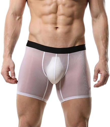 Mens See Through Underwear Mesh Ice Silk Boxers Transparent Briefs