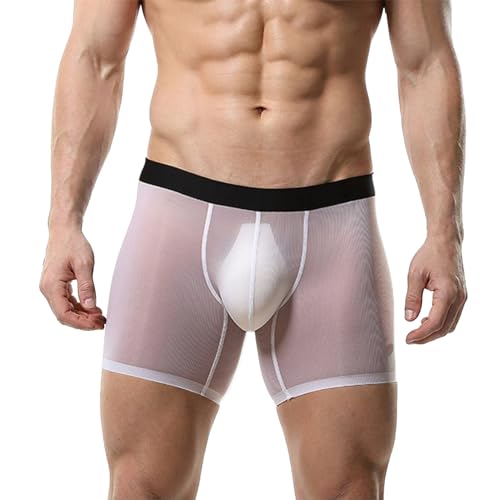 GNFVQLLE Mens See Through Underwear Mesh Ice Silk Boxers Transparent Briefs