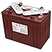 Trojan T1275 12 Volt, 150 AH Deep Cycle Battery - 2 Pack