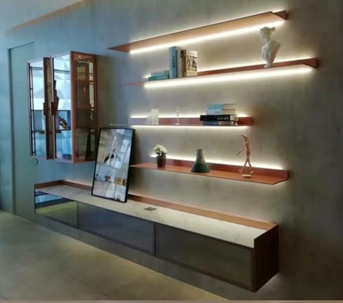 Estante de pared flotante con luz LED con luz cálida para exhibir plantas o libros